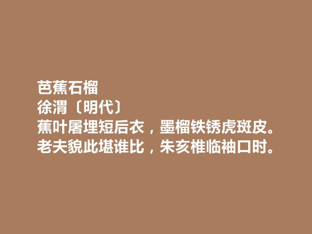 明朝奇才徐渭，诗歌以奇特著称，他这诗，个性十足