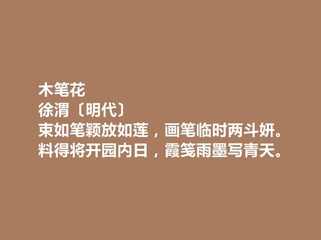 明朝奇才徐渭，诗歌以奇特著称，他这诗，个性十足