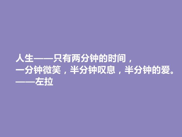 法国自然主义作家，左拉格言，崇尚真理与正义，极具现实意义