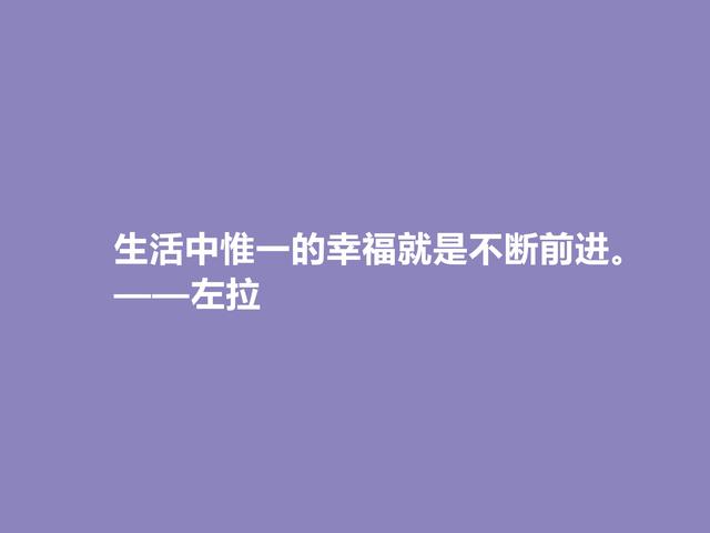 法国自然主义作家，左拉格言，崇尚真理与正义，极具现实意义