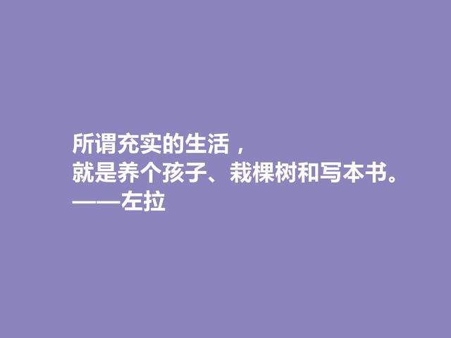 法国自然主义作家，左拉格言，崇尚真理与正义，极具现实意义