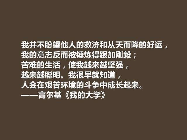 苏联作家高尔基，名作《我的大学》格言，深刻又犀利