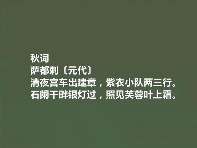 元代回族诗人，萨都剌诗，豪放激昂，清丽悠远，让人回味无穷