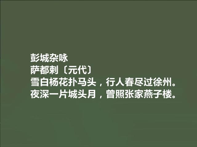 元代回族诗人，萨都剌诗，豪放激昂，清丽悠远，让人回味无穷