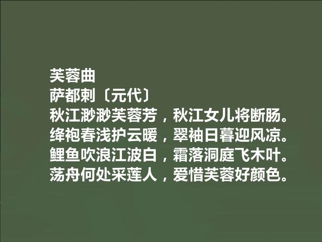 元代回族诗人，萨都剌诗，豪放激昂，清丽悠远，让人回味无穷