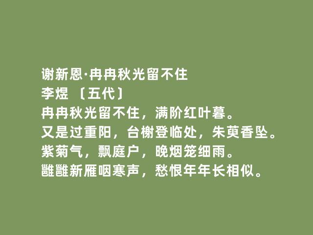 重阳以孝为先，读古诗词，体会古人多重情感，感叹祖国的伟大