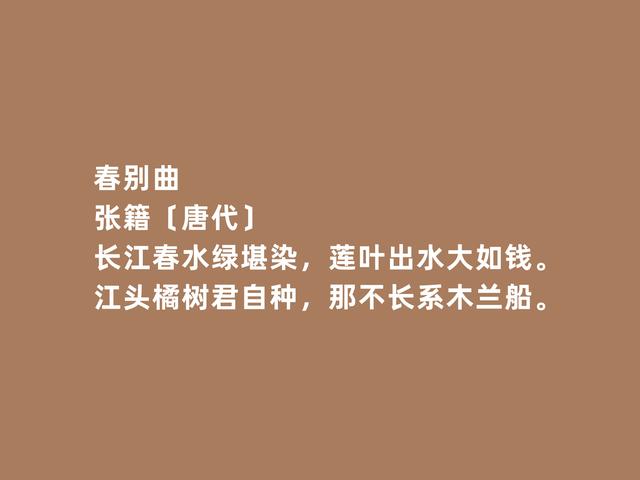 中唐诗坛名家，张籍这诗，凸显古拙之风与浅淡之气