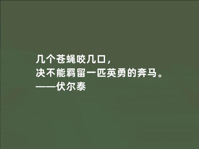 法国著名思想家，伏尔泰这至理格言，彰显人生真谛