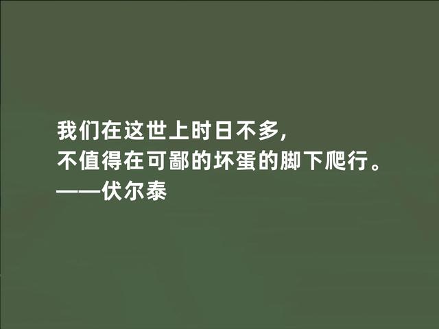 法国著名思想家，伏尔泰这至理格言，彰显人生真谛