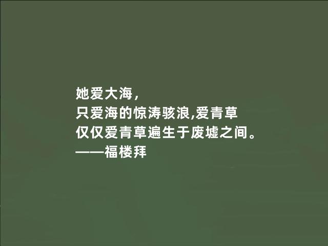 法国文坛巨匠，福楼拜格言，充满真实感，又凸显现实主义特色