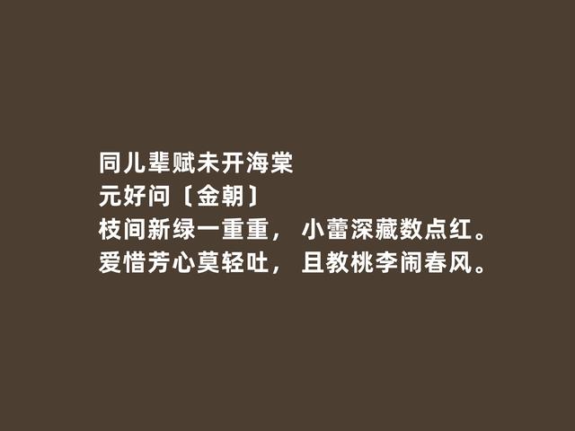 金朝文坛名家，元好问诗词，意境幽深，社会意义强烈