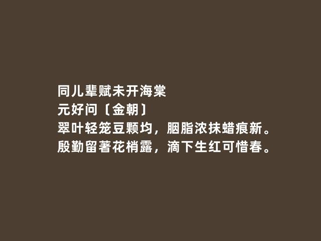 金朝文坛名家，元好问诗词，意境幽深，社会意义强烈