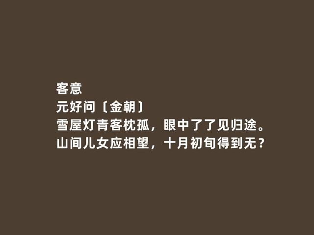 金朝文坛名家，元好问诗词，意境幽深，社会意义强烈