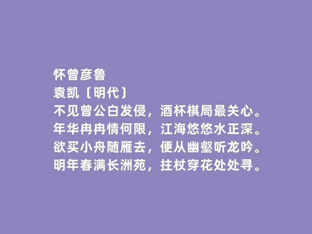 元明之际，百岁诗人，袁凯诗，咏物诗趣味横生，暗含隐逸情怀