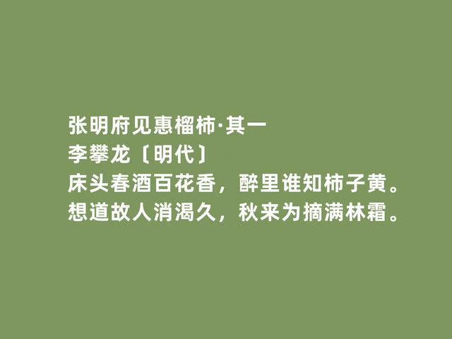 明朝著名诗人，李攀龙诗，七律诗堪称经典，海防诗最真情激荡