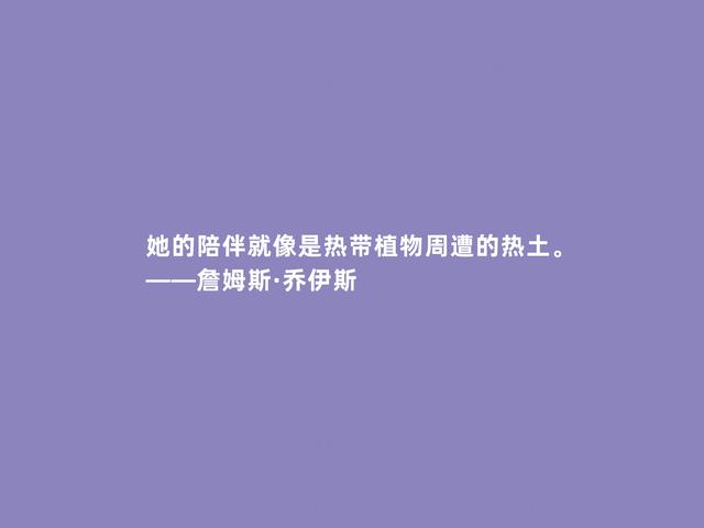 爱尔兰文坛巨匠，乔伊斯格言，批判主义犀利，又暗含流亡意识