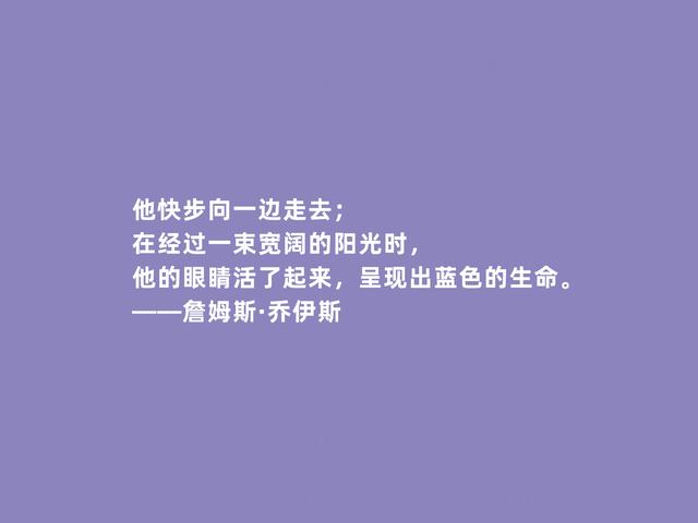 爱尔兰文坛巨匠，乔伊斯格言，批判主义犀利，又暗含流亡意识