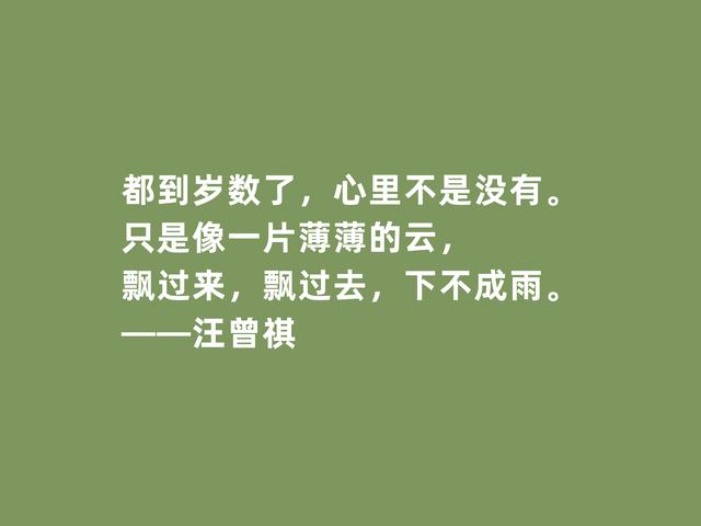 当代小说家，汪曾祺格言，质朴又极具深意，批判性强烈