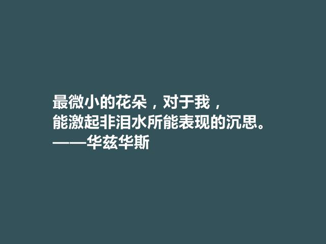 英国浪漫主义诗人，华兹华斯诗，直击人类心灵，读完净化内心