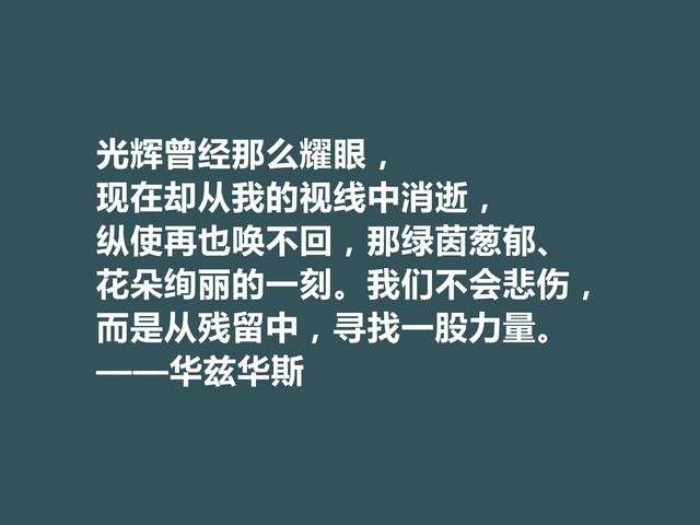 英国浪漫主义诗人，华兹华斯诗，直击人类心灵，读完净化内心