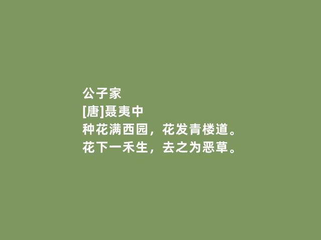 晚唐现实主义诗人，聂夷中诗，批判毫无保留，揭露黑暗不留情