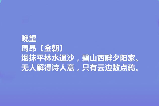 金朝著名诗人，周昂诗，沉郁苍茫，尽显悲凉特色，极具历史感