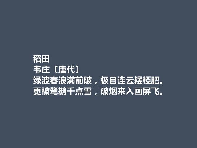 晚唐五代文人，韦庄诗词，清丽婉约，充满空灵审美境界