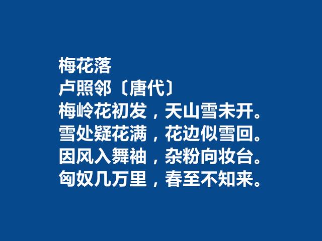 初唐四杰卢照邻，细品他这首诗，充满孤独痛苦之情，凸显骚怨精神