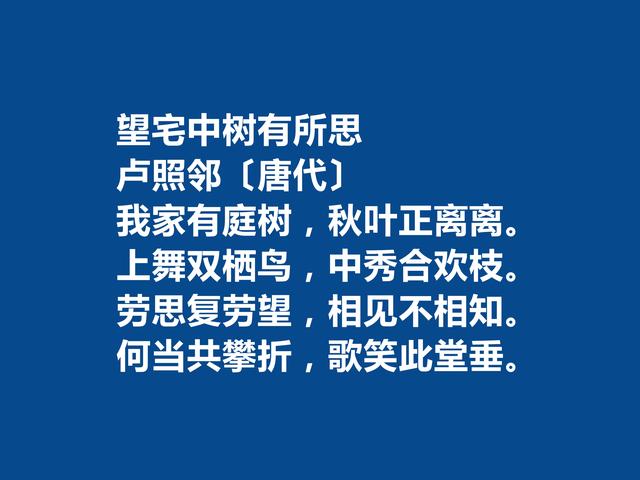 初唐四杰卢照邻，细品他这首诗，充满孤独痛苦之情，凸显骚怨精神