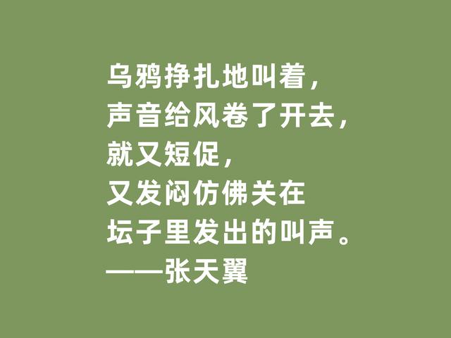 现代文学讽刺大师，张天翼格言，道理深刻，内涵丰富