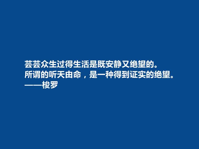 美国伟大作家，梭罗至理格言，哲学意义浓烈，读懂能净化心灵