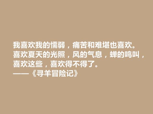 村上春树早期小说，《寻羊冒险记》格言，寓意深刻，引人深思