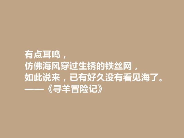 村上春树早期小说，《寻羊冒险记》格言，寓意深刻，引人深思