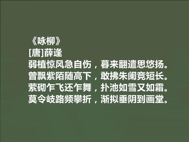 晚唐被低估的诗人，薛逢诗，个性鲜明，感伤色彩浓烈