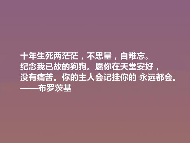 20世纪伟大诗人，布罗茨基诗，悲情色彩浓重，又深含人生道理