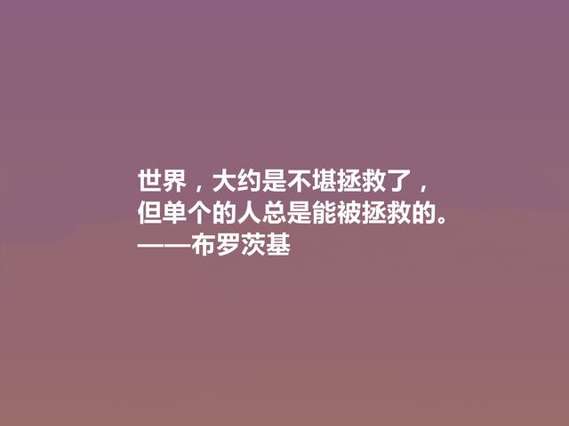 20世纪伟大诗人，布罗茨基诗，悲情色彩浓重，又深含人生道理