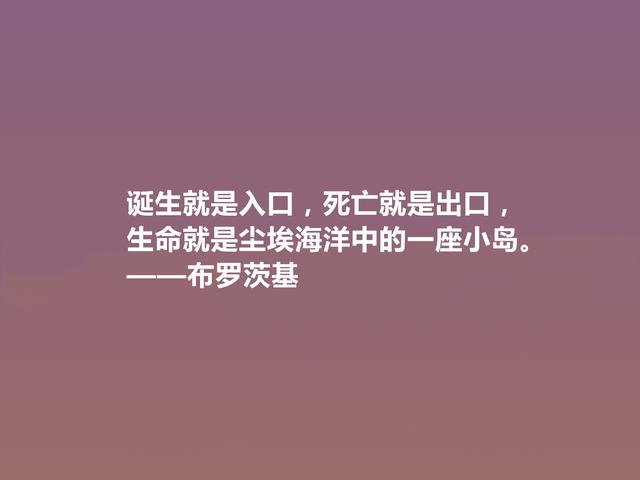 20世纪伟大诗人，布罗茨基诗，悲情色彩浓重，又深含人生道理