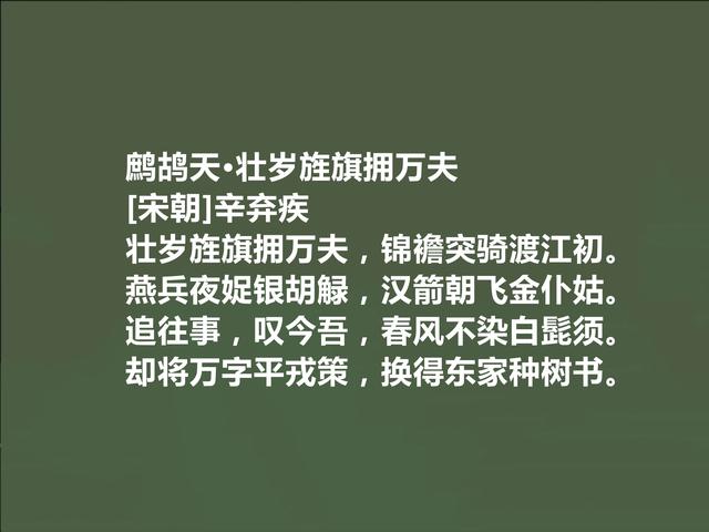 南宋大词人，读辛弃疾首词，豪放至极，彰显伟大人格和豪迈胸襟