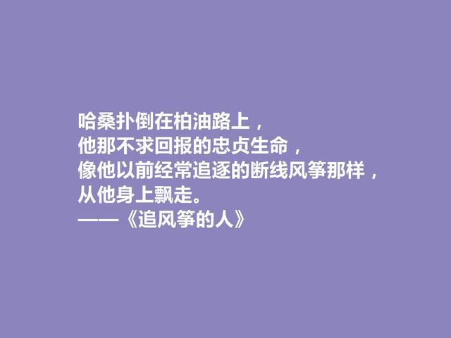 《追风筝的人》让人着迷，小说中这些话正义感十足