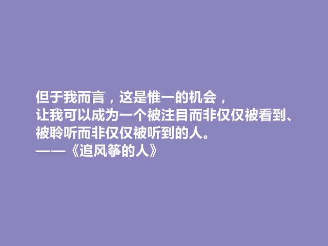 《追风筝的人》让人着迷，小说中这些话正义感十足