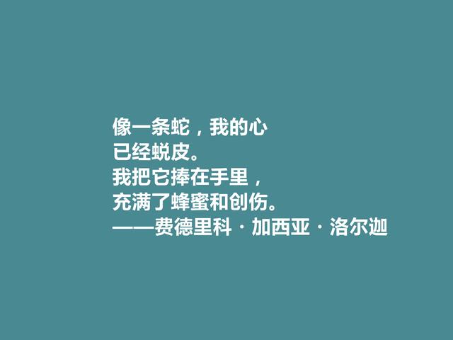 西班牙诗坛大师，洛尔迦十首诗，思考人类命运，内涵深刻，真透彻