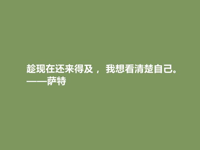 法国伟大文学家，萨特十句格言，具有浓烈哲学意义，读完深受启发