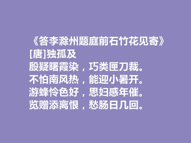 盛唐诗人，诗歌独领风骚，孤独及十首诗，散文化是最大特色，真好