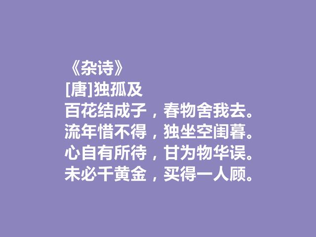 盛唐诗人，诗歌独领风骚，孤独及十首诗，散文化是最大特色，真好