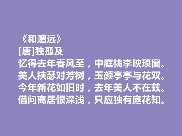 盛唐诗人，诗歌独领风骚，孤独及十首诗，散文化是最大特色，真好