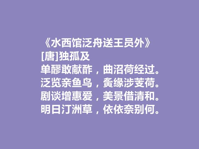 盛唐诗人，诗歌独领风骚，孤独及十首诗，散文化是最大特色，真好