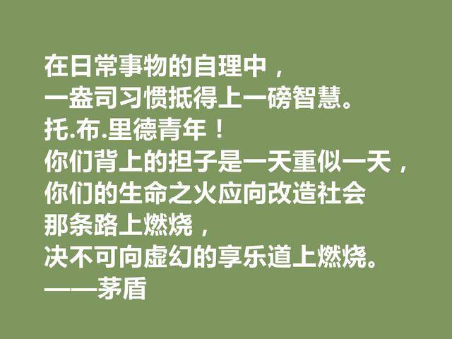 现代革命作家，茅盾十句格言，教化功能强烈，具有启迪作用，赞了