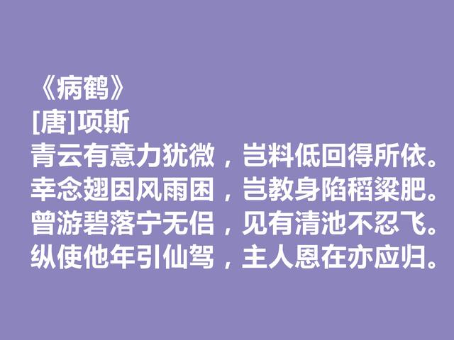 晚唐著名诗人，因一则典故闻名天下，项斯十首诗，批判意义真强烈