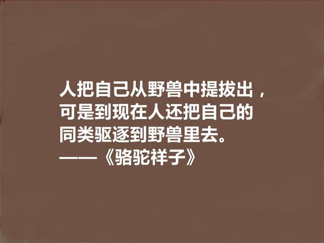 伟大语言大师，老舍名作《骆驼祥子》十句话，京味十足又警示世人