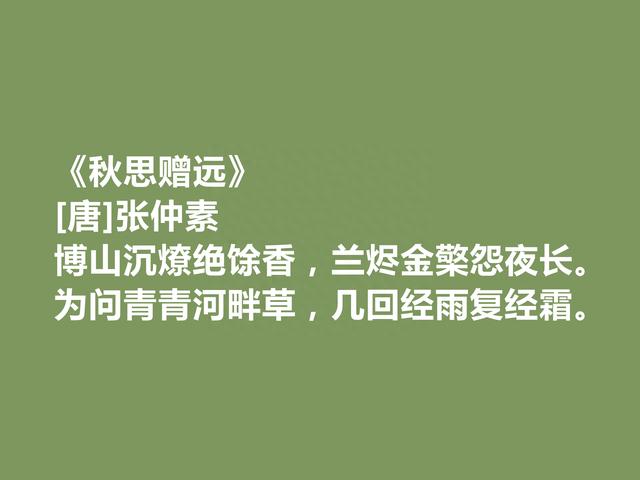 唐中期台阁诗人，朝廷御用文人，张仲素十首诗，彰显中和雅正之美